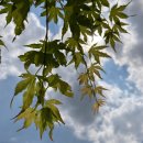 수성동 부영1차아파트-2 이미지