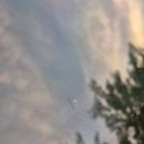 차 유리 복원