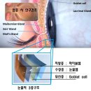다시봄약국 이미지