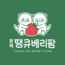땡큐베리팜 이미지
