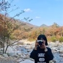 수봉야영장 이미지