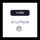 NB012 | [42경산 라피신 과제 뽀개기] C00 과제 기본기 잡는 출력 함수 완전 정리