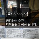 산들바람떡집 이미지