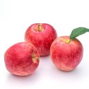혈관에 좋은 ‘사과’, 아침에 먹으면 ‘금’인 이유가? 이미지