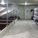 호연농장 이미지