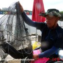 대부도바다낚시터 이미지