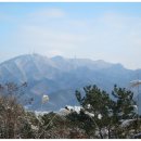 01-12 동구 이미지