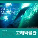 장생포고래로R 네이버블로그