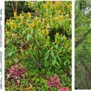 나들목가든 이미지