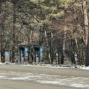 월정사주차장 화장실 이미지