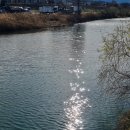 더스테이은파(The Stay 은파) | 직대딩 자전거 강릉여행