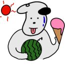 써니데이제주 이미지