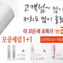 코코클릭 이미지