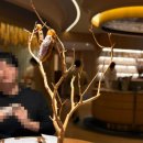 백련스파 | 압구정 파인다이닝 미슐랭 2스타, 에빗(EVEET) 디너코스 방문후기 + 한국 술 페어링