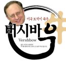 버쉬 이미지