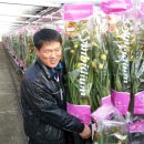 개화영농조합법인 이미지