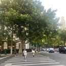 광장센트럴약국 | 상해호텔추천 센트럴호텔 上海王宝和大酒店 솔직후기