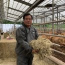 금홍한우농장 이미지