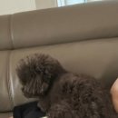 참사랑세탁소 이미지