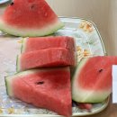 웰봄내과의원 이미지