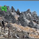 꾀꼬리봉 화장실 이미지