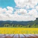 수현스튜디오