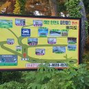 파인웰스 이미지