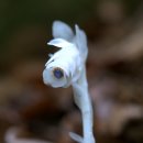 대전수정초등학교 이미지