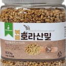 월드씨앗건강
