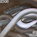 신아건강원