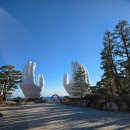 썬크루즈 | 정동진 일출 명소 | 썬크루즈호텔 숙박 후기