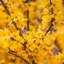 방쌤공부방 이미지