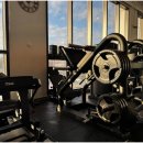 준토스핏 이미지