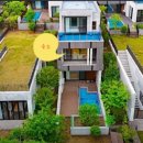 엔젤 위드 허니비키즈 이미지