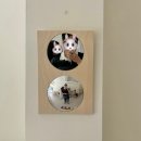 유미네펜션 | 유미의 여름휴가 🫧☘️