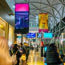 대한국제여유㈜ | 일본 항공권 할인 오사카 항공권 50만원 간사이국제공항 김포 KE2120 대한항공 기내식