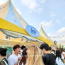 송암카페테리아(행복이벤트) | 2025 올리브영 페스타 후기 솔랩 ai두피진단 두피앰플 전리품과 준비물 꿀팁까지