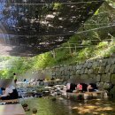 청강수계곡펜션 | 금산 계곡 청강수폭포가든 평상 백숙 후기