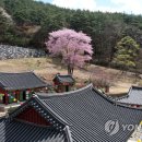 벽송사 - 1857 | 벽송사