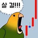 빵굽는곰 이미지