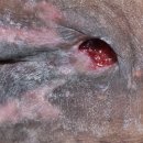 강서스마일재가센터 이미지