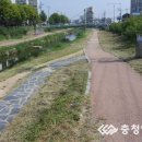 충청남도 천안시 동남구청 이미지