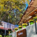 올드머그 이미지