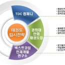 경희대 신성 태권도장 이미지