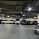 스칼프랩앤뷰티 속눈썹&눈썹&탈모 의정부점 이미지