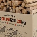 매미캠프