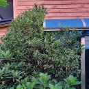 지노포트 이미지