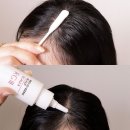 (주)코리아레드진생 | [다이소 샴푸 추천] 알지쓰리 레드진생 탈모라인 샴푸부터, 스케일러, 면봉까지!