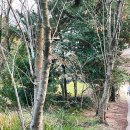 인스타존 | 제주공항 근처 관광지 도두봉 키세스존 전망대 인스타 핫플 인증