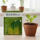 씨앗 - 남양주시 덕소로116번길 11 | 씨앗